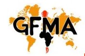 Global Fusion Music and Arts