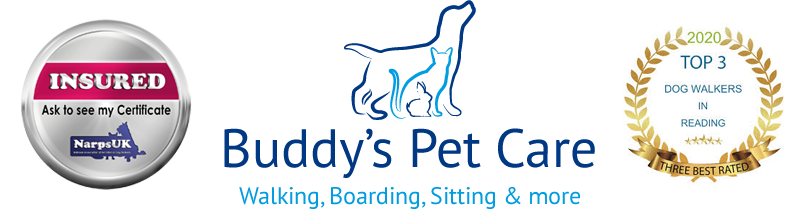 Buddys Pet Care