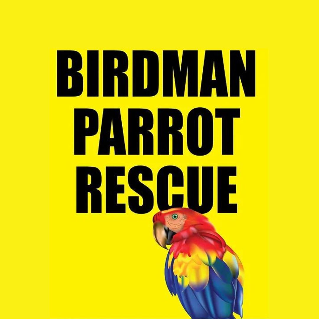 Birdman Parrot Rescue