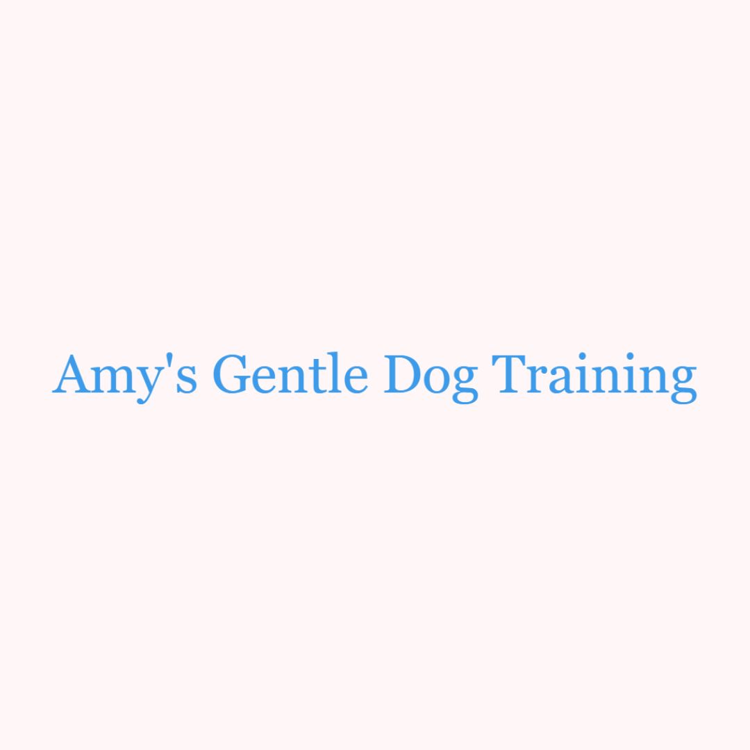 Amy s Gentle Dog Training