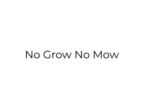 No Grow No Mow