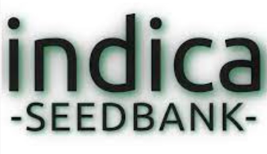 Indica Seedbank