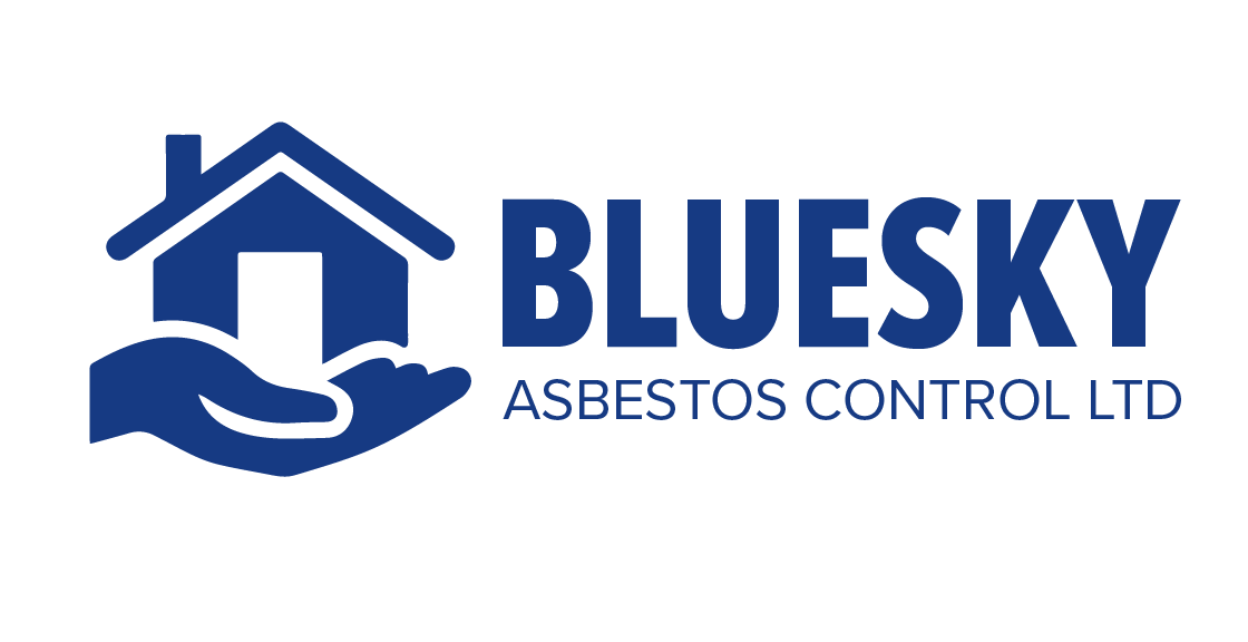 Blue Sky Asbestos Services