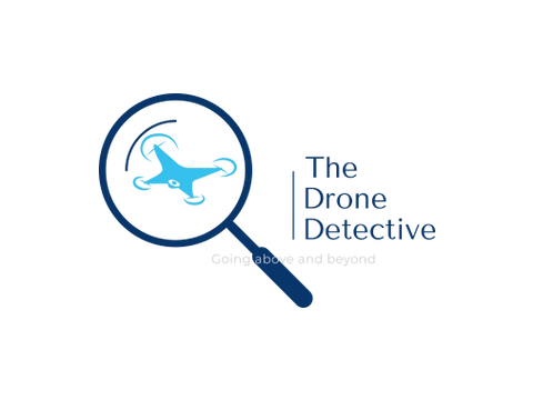 The Drone Detective