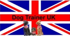 Kent Puppy Training (Kent Dog Training Services)