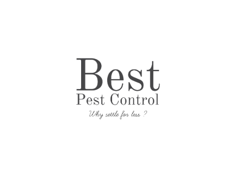 Best Pest Control 4 U