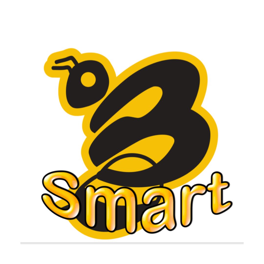 BSmart Phone Repairs