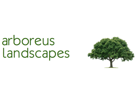 Arboreus Landscapes