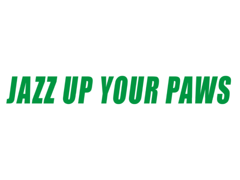 Jazz Up Your Paws LTD